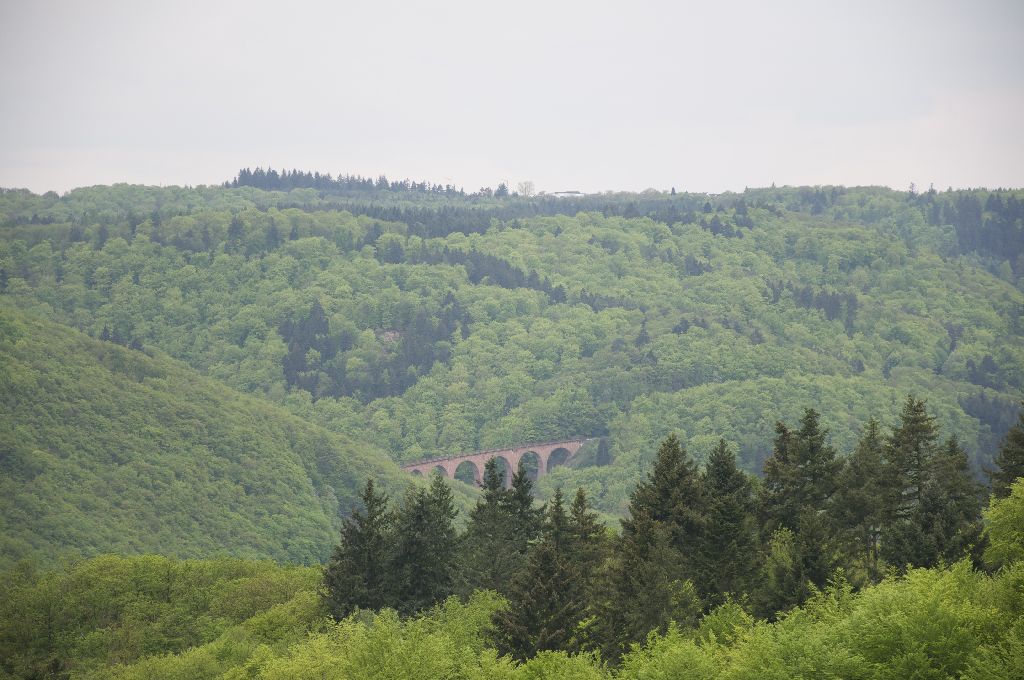 Über dieses Viadukt fährt die Hunsrückbahn