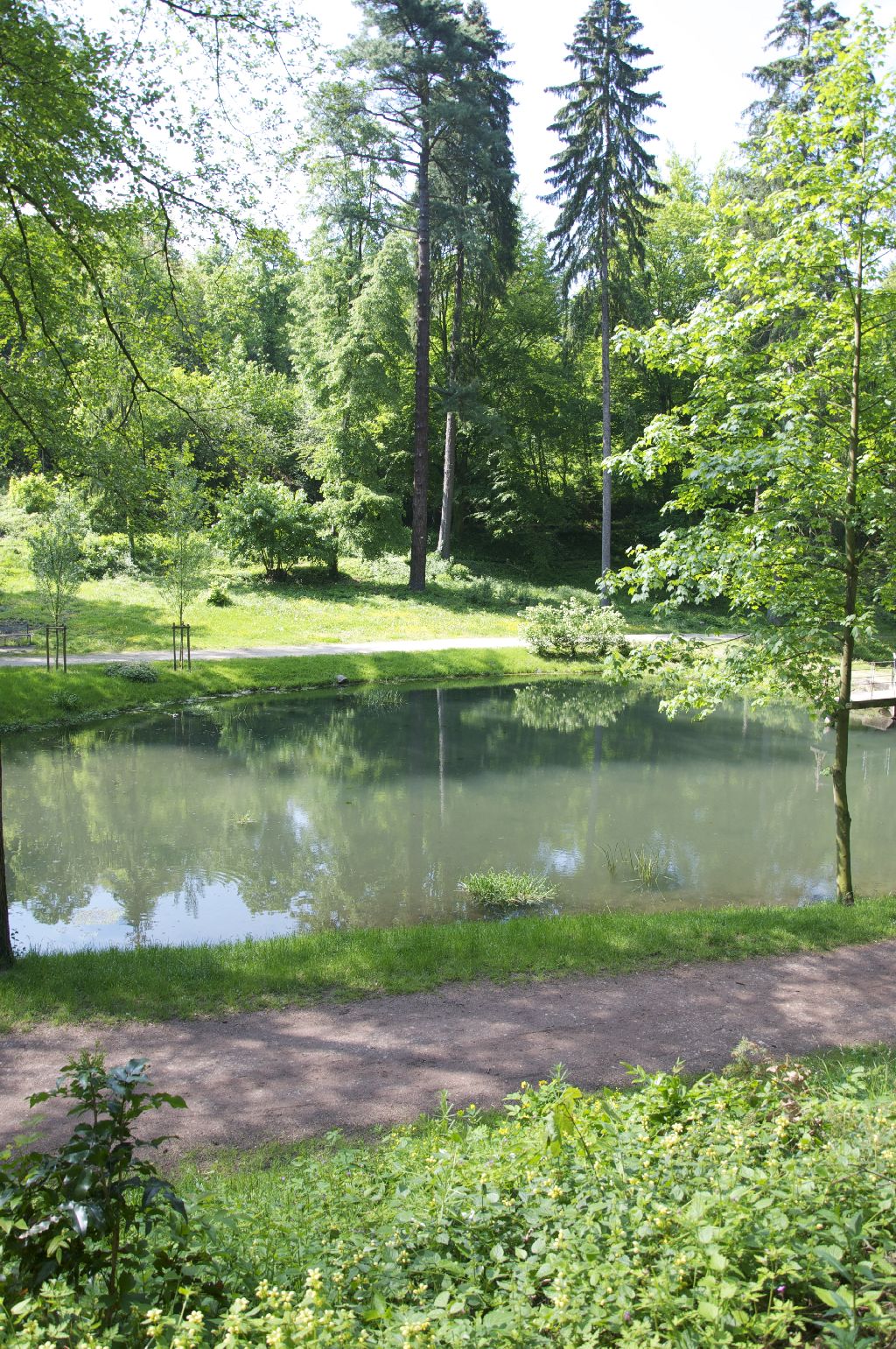 Teichanlage im Marienberger Park