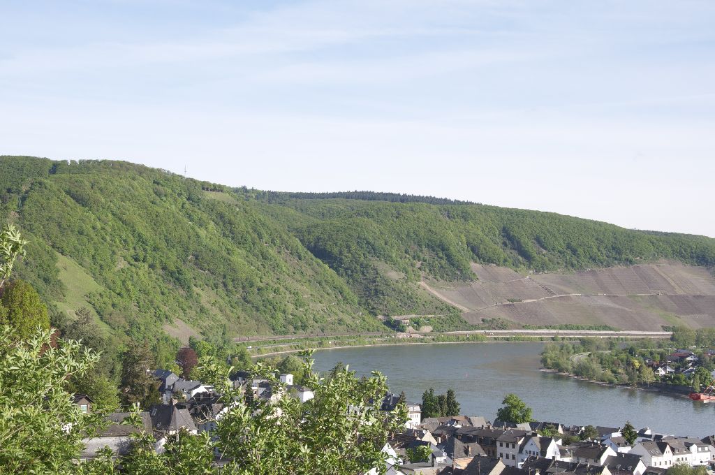 Blick auf die Weinberge im Bopparder Hamm